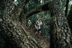 BIB: 
                            <button type="button" onclick="openModal(25391881)" class="btn btn-primary btn-sm float-right btn-popup" data-toggle="modal" data-target=".modal-high-quality">
                        <i class="fas fa-shopping-cart"></i> Add to Cart
                    </button>
                                            <button type="button" onclick="isThisMe(25391881, true)" class="btn btn-success btn-sm float-right btn-popup btn-isme hidden" data-toggle="tooltip" data-placement="bottom" title="นี่คือรูปของคุณใช่ไหม คลิกที่นี่เพื่อเอาเข้าอัลบั้ม">
                        <i class="fas fa-plus"></i> Add to album
                    </button>
                    <button type="button" onclick="isThisMe(25391881, false)" class="btn btn-warning btn-sm float-right btn-popup btn-isnotme hidden">
                        <i class="fas fa-ban"></i> Remove from album
                    </button>